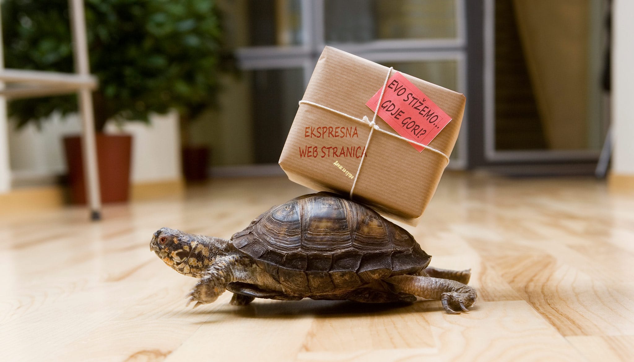 Brzina web stranice i SEO